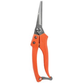 ΨΑΛΙΔΑΚΙ ΤΡΥΓΟΥ ΙΣΙΟ BRADAS