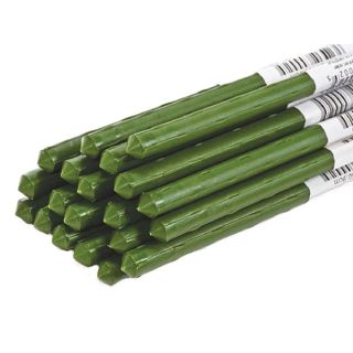 ΣΤΗΡΙΓΜΑΤΑ ΦΥΤΩΝ